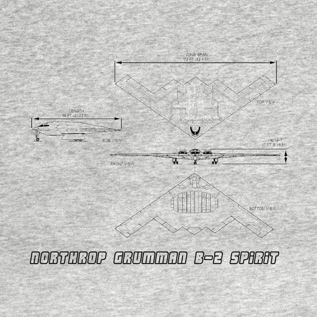 Northrop Grumman B-2 Spirit (Stealth Bomber) (black) by Big Term Designs